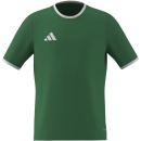 ENTRADA 26 Youth Jersey TEAM GREEN/WHITE