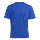 ENTRADA 26 Kinder-Trikot ROYAL BLUE/WHITE