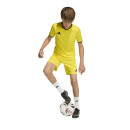 ENTRADA 26 Kinder-Short TEAM YELLOW/BLACK