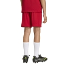 ENTRADA 26 Youth Short TEAM POWER RED/WHITE