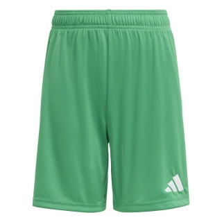 ENTRADA 26 Youth Short TEAM GREEN/WHITE