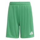 ENTRADA 26 Kinder-Short TEAM GREEN/WHITE