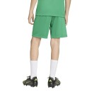 ENTRADA 26 Kinder-Short TEAM GREEN/WHITE