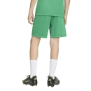 ENTRADA 26 Youth Short TEAM GREEN/WHITE