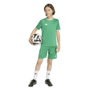 ENTRADA 26 Youth Short TEAM GREEN/WHITE