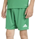 ENTRADA 26 Youth Short TEAM GREEN/WHITE