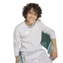 ENTRADA 26 Kinder-Sweatshirt TEAM LIGHT GREY/WHITE