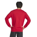 ENTRADA 26 Sweat TEAM POWER RED/WHITE