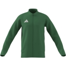ENTRADA 26 Training jacket TEAM GREEN/WHITE