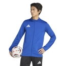 ENTRADA 26 Training jacket ROYAL BLUE/WHITE
