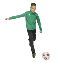 ENTRADA 26 Youth Training top TEAM GREEN/WHITE