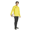 ENTRADA 26 Training top TEAM YELLOW/BLACK