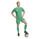 TIRO 26 COMPETITION Matchday Short TEAM GREEN/WHITE