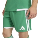 TIRO 26 COMPETITION Matchday Short TEAM GREEN/WHITE