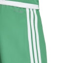 TIRO 26 COMPETITION Matchday Short TEAM GREEN/WHITE
