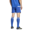 TIRO 26 COMPETITION Matchday Short ROYAL BLUE/WHITE