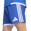 TIRO 26 COMPETITION Matchday Short ROYAL BLUE/WHITE