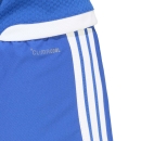 TIRO 26 COMPETITION Matchday Short ROYAL BLUE/WHITE