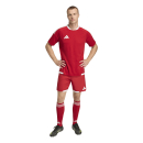 TIRO 26 COMPETITION Matchday Short TEAM POWER RED/WHITE
