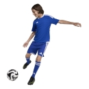 TIRO 26 COMPETITION Matchday Youth Short ROYAL BLUE/WHITE