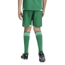TIRO 26 COMPETITION Matchday Kinder-Short TEAM GREEN/WHITE