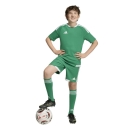 TIRO 26 COMPETITION Matchday Kinder-Short TEAM GREEN/WHITE