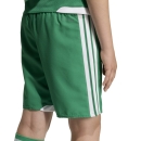 TIRO 26 COMPETITION Matchday Kinder-Short TEAM GREEN/WHITE