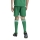 TIRO 26 COMPETITION Matchday Youth Short TEAM GREEN/WHITE