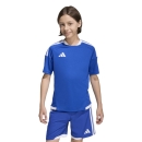 TIRO 26 COMPETITION Matchday Youth Jersey ROYAL BLUE/WHITE