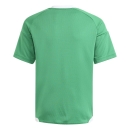 TIRO 26 COMPETITION Matchday Kinder-Trikot TEAM GREEN/WHITE