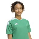 TIRO 26 COMPETITION Matchday Kinder-Trikot TEAM GREEN/WHITE