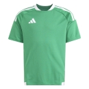 TIRO 26 COMPETITION Matchday Youth Jersey TEAM GREEN/WHITE