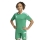 TIRO 26 COMPETITION Matchday Youth Jersey TEAM GREEN/WHITE
