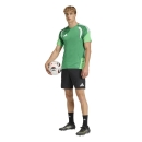 TIRO 26 COMPETITON Training jersey TEAM GREEN