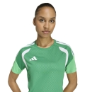 TIRO 26 COMPETITON Womens Jersey TEAM GREEN
