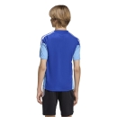 TIRO 26 COMPETITON Youth Training jersey ROYAL BLUE
