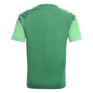 TIRO 26 COMPETITON Youth Training jersey TEAM GREEN