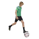 TIRO 26 COMPETITON Kinder-Trainingsshirt TEAM GREEN