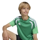 TIRO 26 COMPETITON Youth Training jersey TEAM GREEN