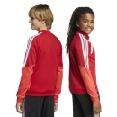 TIRO 26 COMPETITON Youth Training jacket TEAM POWER RED
