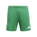 TIRO 26 LEAGUE Short TEAM GREEN/WHITE