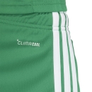 TIRO 26 LEAGUE Short TEAM GREEN/WHITE