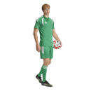 TIRO 26 LEAGUE Short TEAM GREEN/WHITE