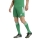 TIRO 26 LEAGUE Short TEAM GREEN/WHITE