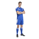 TIRO 26 LEAGUE Short ROYAL BLUE/WHITE