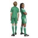 TIRO 26 LEAGUE Kinder-Short TEAM GREEN/WHITE