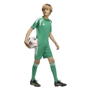 TIRO 26 LEAGUE Youth Short TEAM GREEN/WHITE