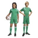 TIRO 26 LEAGUE Youth Short TEAM GREEN/WHITE