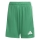 TIRO 26 LEAGUE Youth Short TEAM GREEN/WHITE