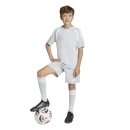 TIRO 26 LEAGUE Kinder-Trikot TEAM LIGHT GREY/WHITE